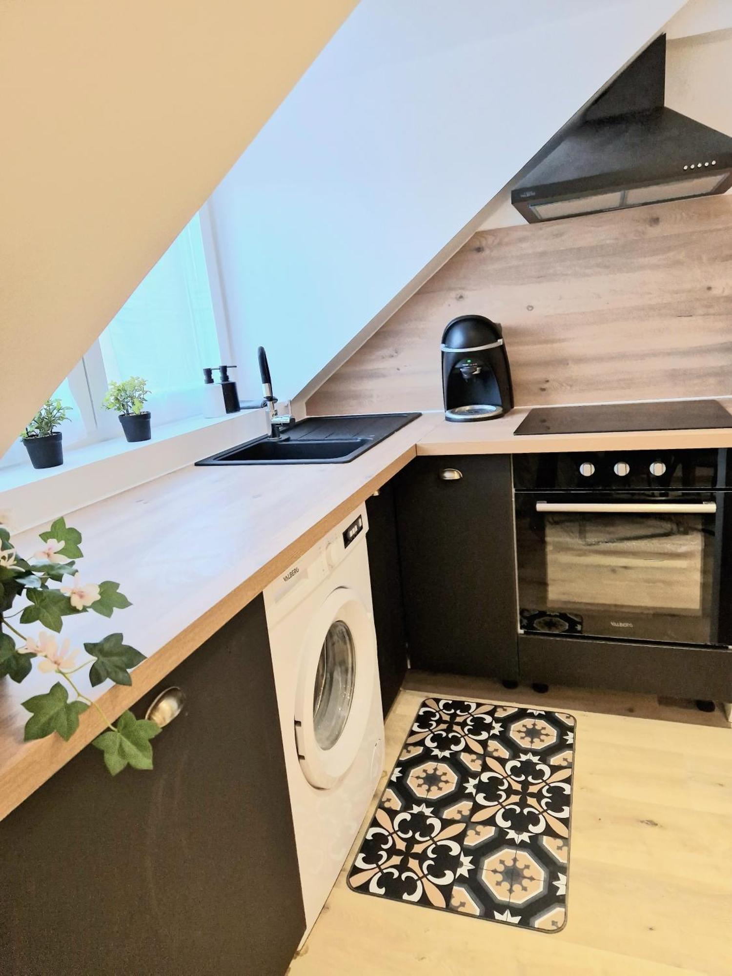 L'Elementaire, Appartement Chic Et Central Мюлуз Екстер'єр фото